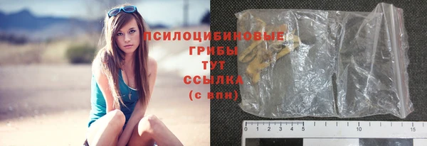 сатива Киренск