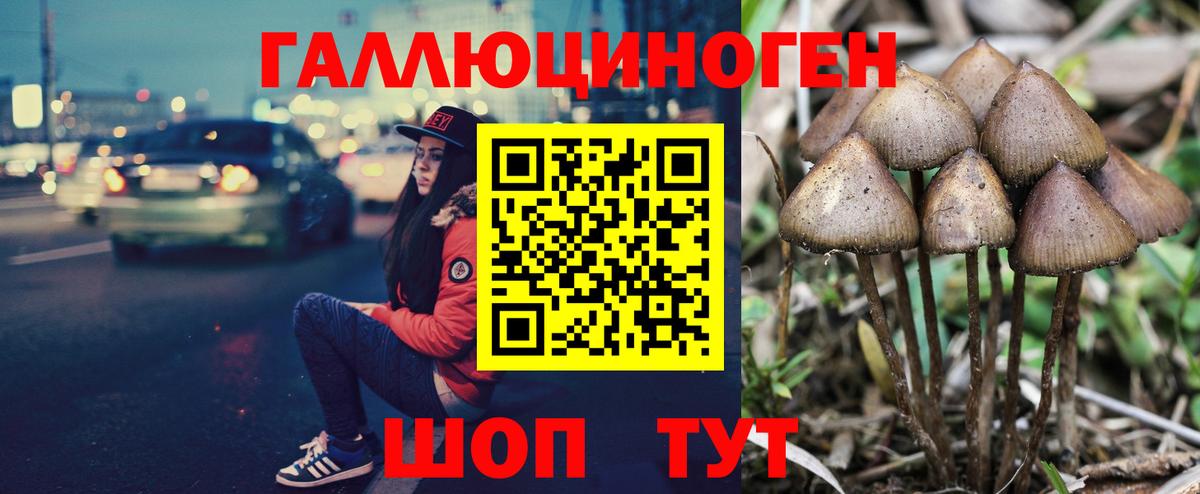 Псилоцибиновые грибы GOLDEN TEACHER Кумертау