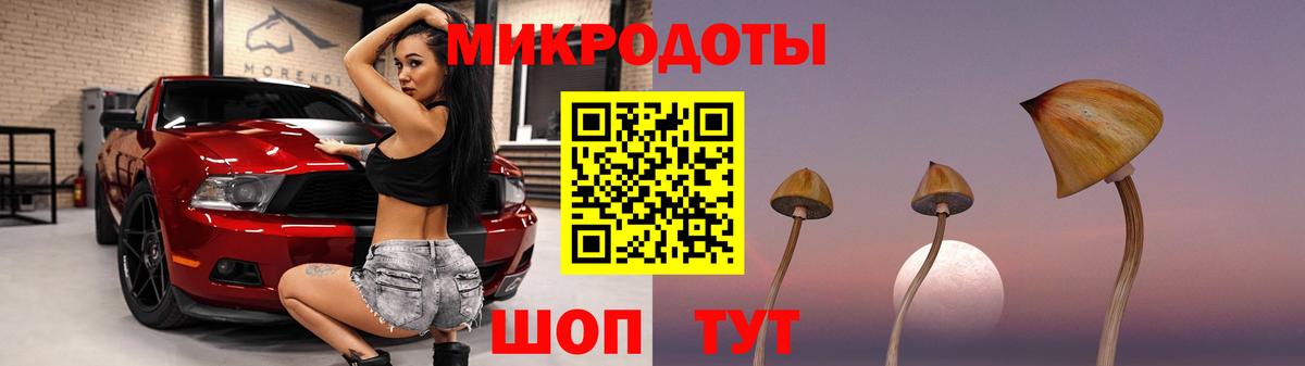 Псилоцибиновые грибы Psilocybe  Вход с VPN  Кумертау  Псилоцибиновые грибы мицелий 